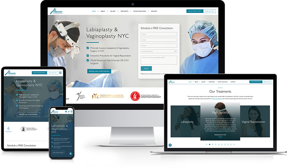 Wisevu Portfolio Labiaplasty NYC